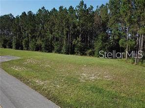 Property photo for LAKE SMITH ROAD, Umatilla, FL
