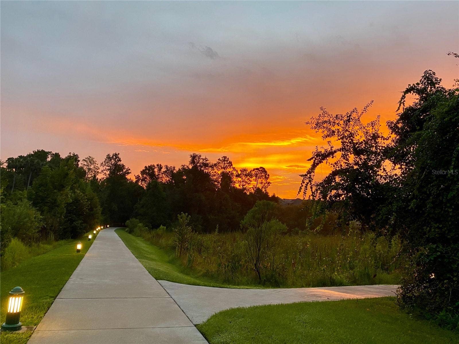 1231 WRIGHT CIR, #308, Celebration, FL 34747 Artisan Park Walking Trails