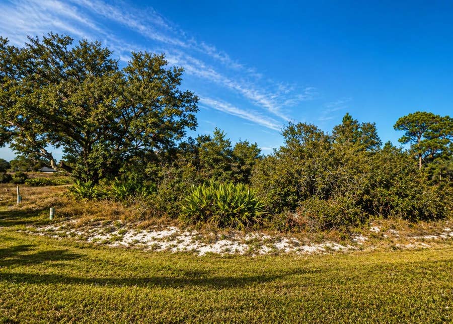 Property photo for 320 BOWFIN DRIVE, Kissimmee, FL