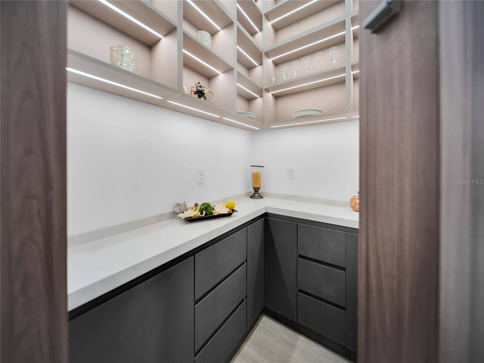 11241 OSWALT ROAD, Clermont, FL 34711 Walk-in pantry with built-in storage