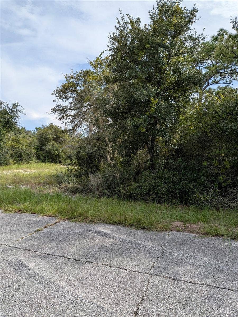 Property photo for 408 VERNON COURT, Kissimmee, FL