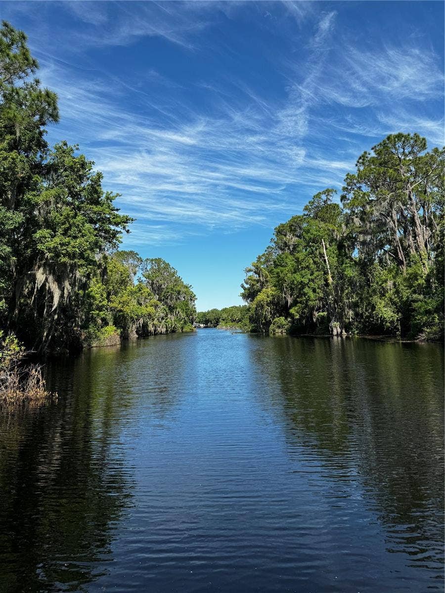 3654 HIDDEN RIVER LANE, Tavares, FL 32778 The freshwater canal that the property backs on to - build a dock and sail from your garden