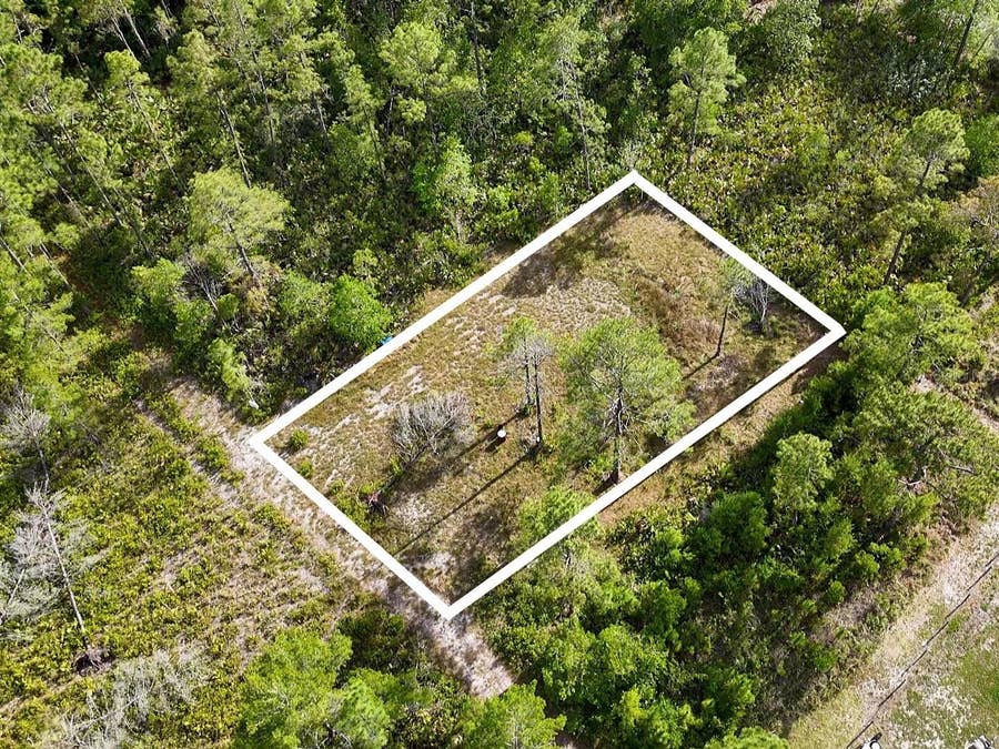 Property photo for 56309 VIRGINIA STREET, Paisley, FL