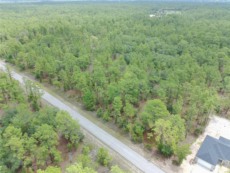 Property photo for SW BUENA VISTA ROAD, Dunnellon, FL