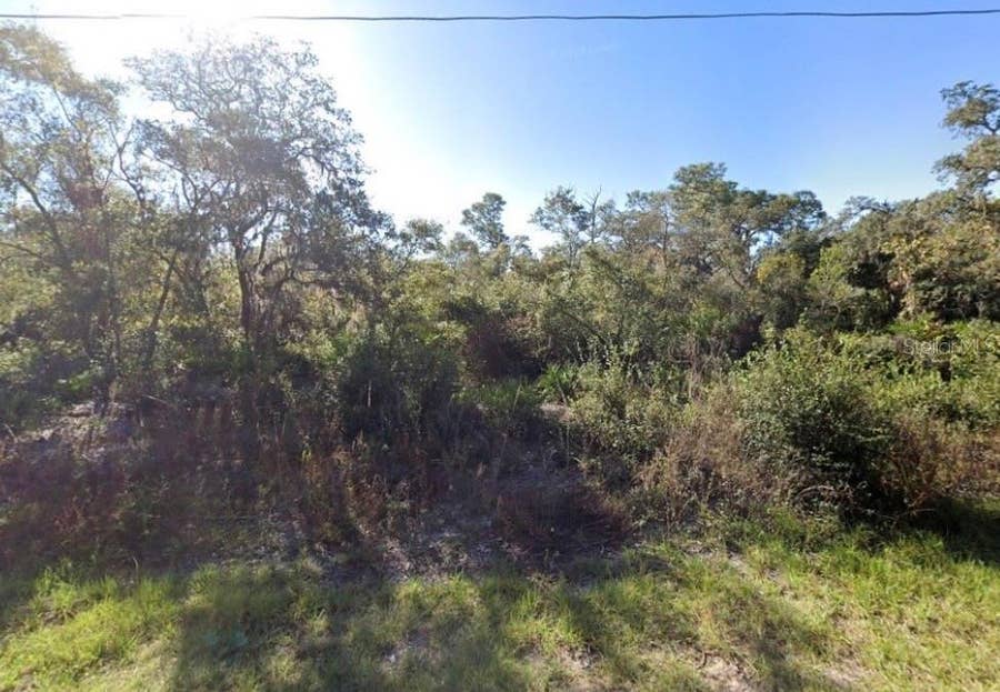 Property photo for 441 VERNON COURT, Kissimmee, FL