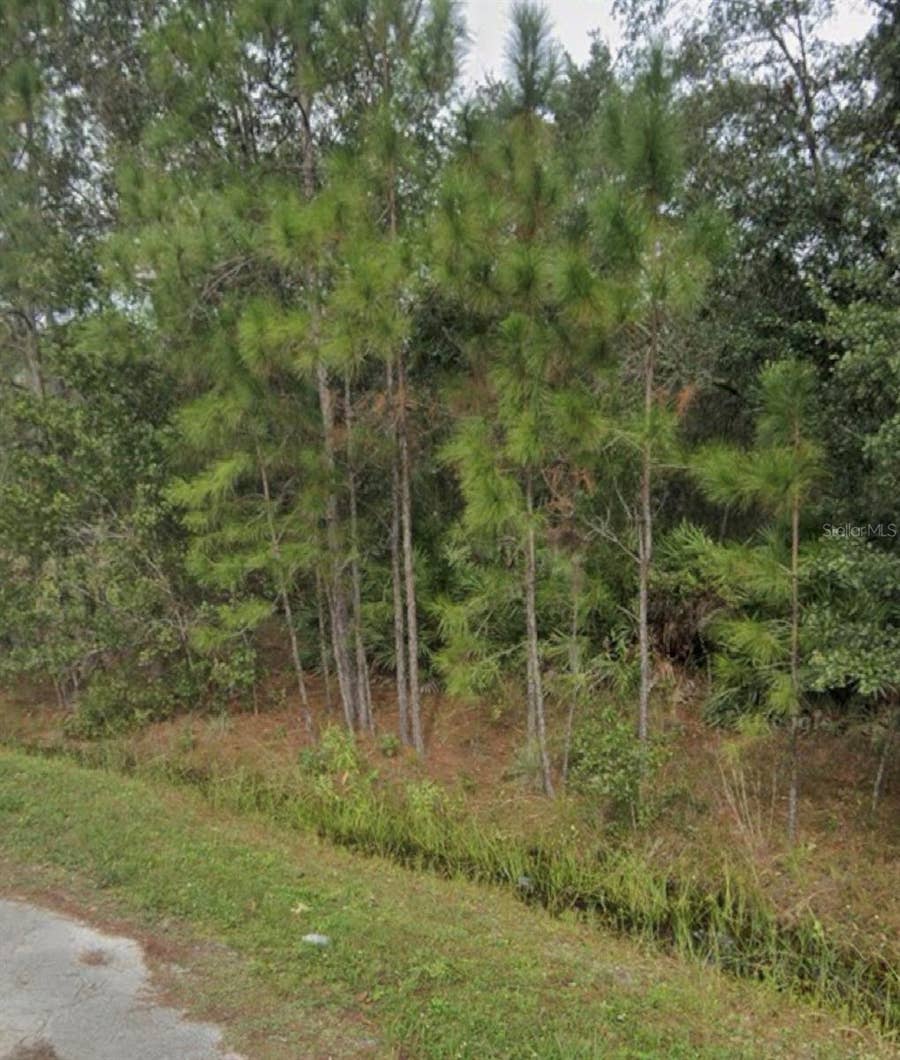 Property photo for 1437 TERN COURT, Poinciana, FL