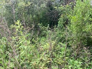 Property photo for SWEETWATER TRAIL, Kissimmee, FL