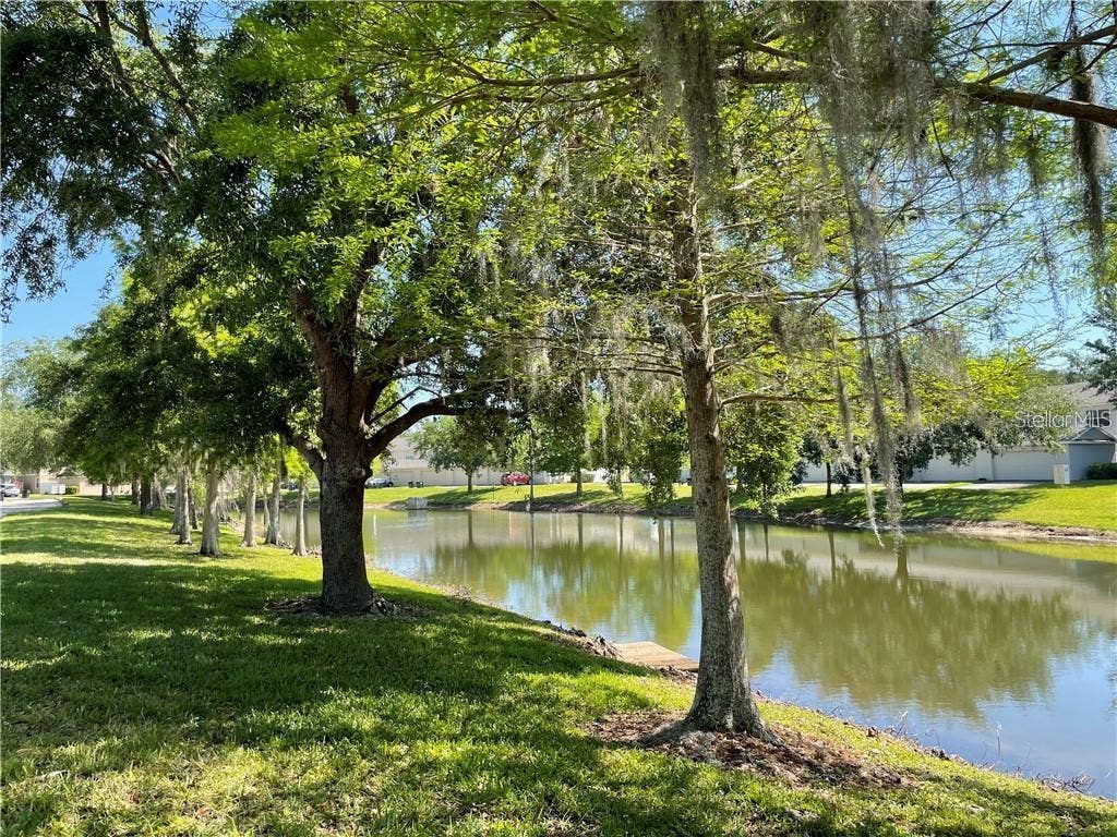 12355 LANGSTAFF DRIVE, Windermere, FL 34786
