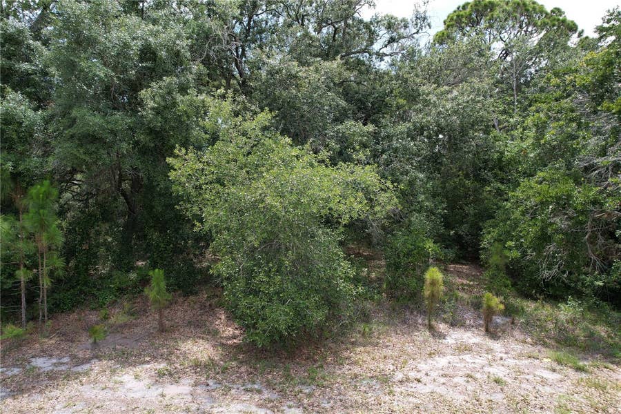 Property photo for 1008 WILDFLOWER STREET, Lake Placid, FL