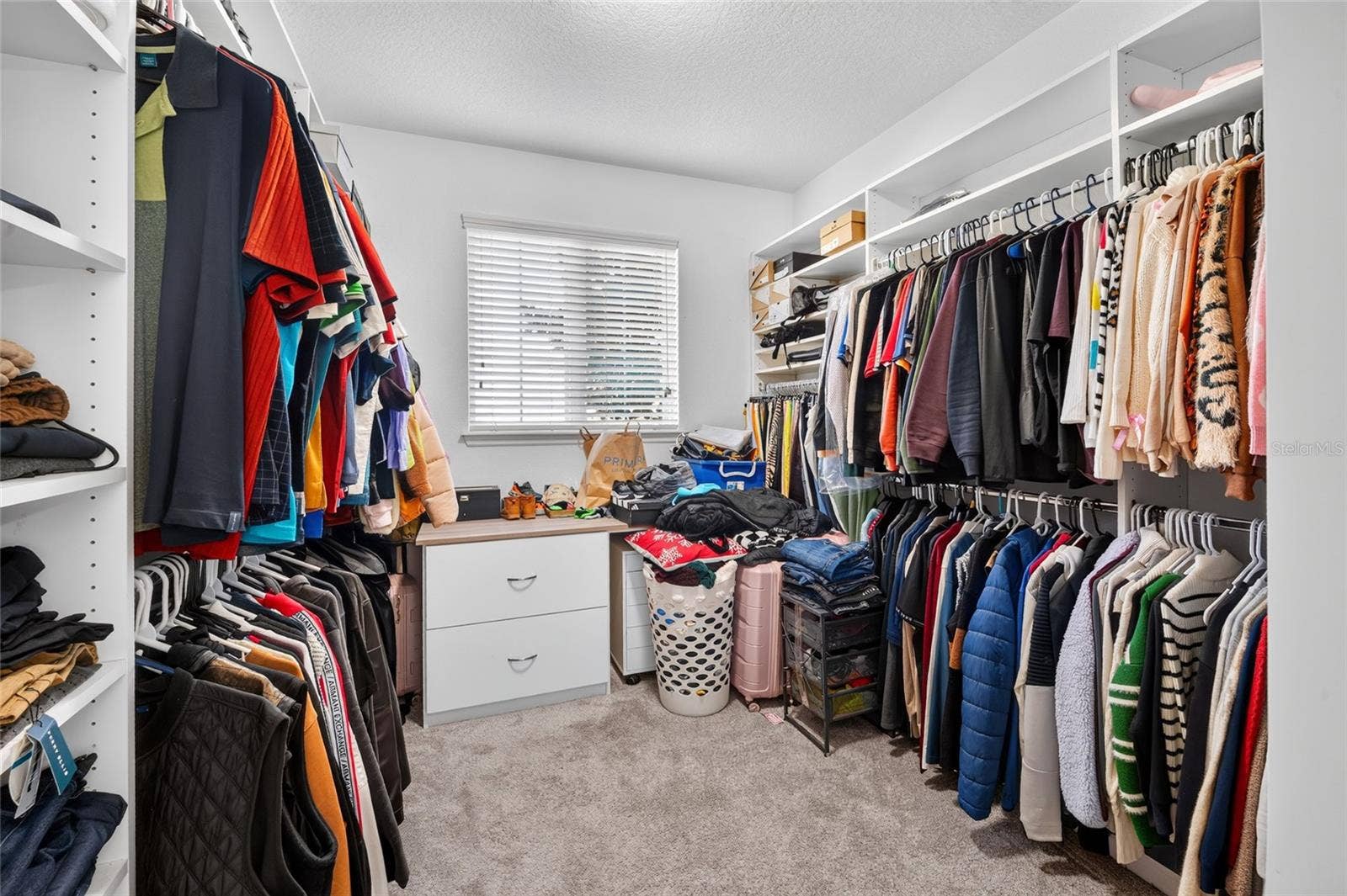 16004 OLLIVETT STREET, Winter Garden, FL 34787 16004 OLLIVETT STREET, Winter Garden, FL 34787
