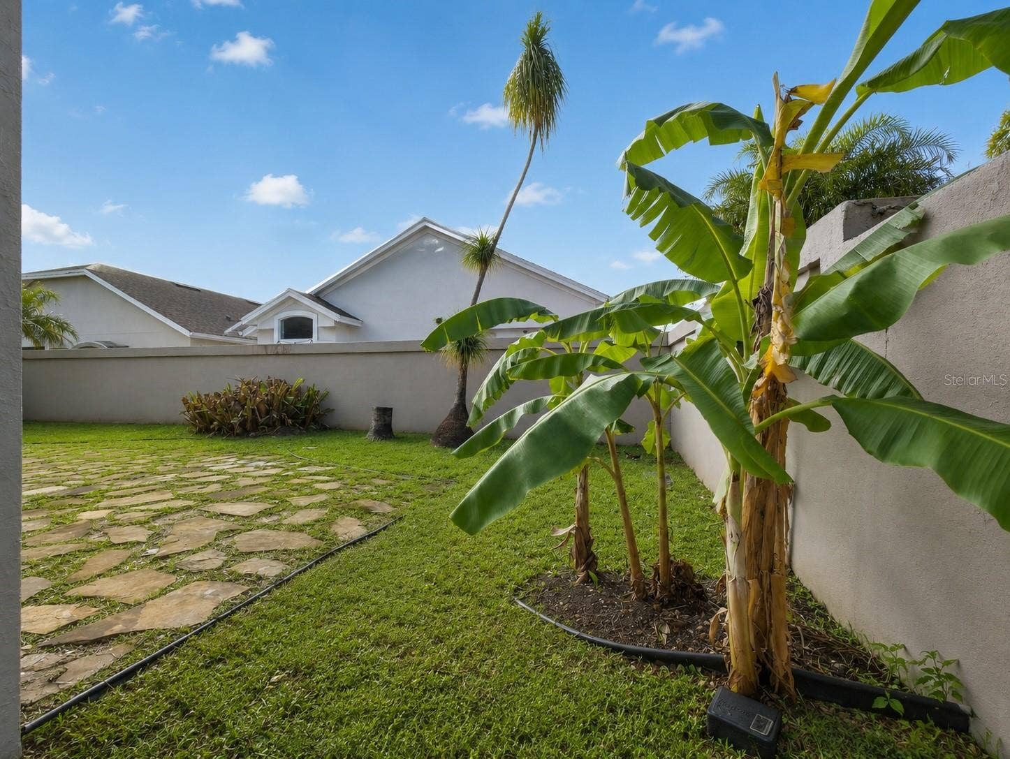 14435 WINDCHIME LANE, Orlando, FL 32837 Enhanced Grass