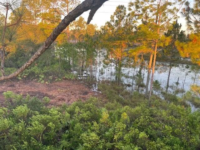 Property photo for 43820 REDLANDS DRIVE, Deland, FL