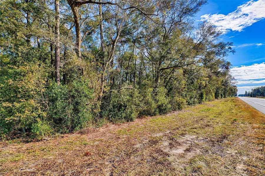 Property photo for S US HWY 129, Bell, FL