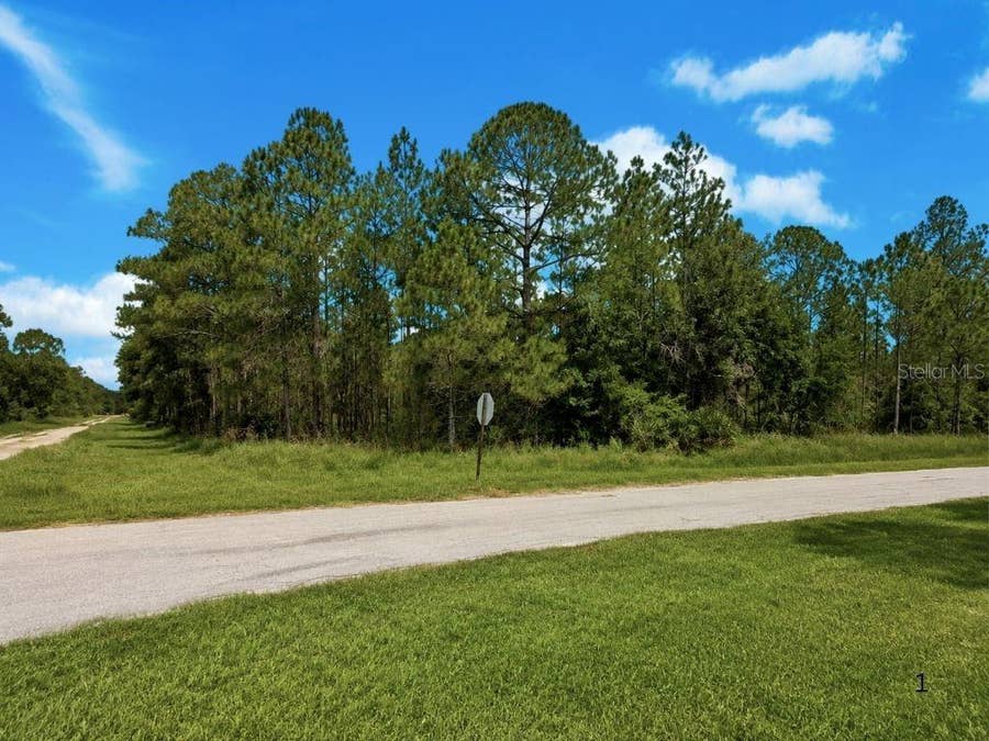 Property photo for 3250 PLUMOSA DRIVE, Indian Lake Estates, FL