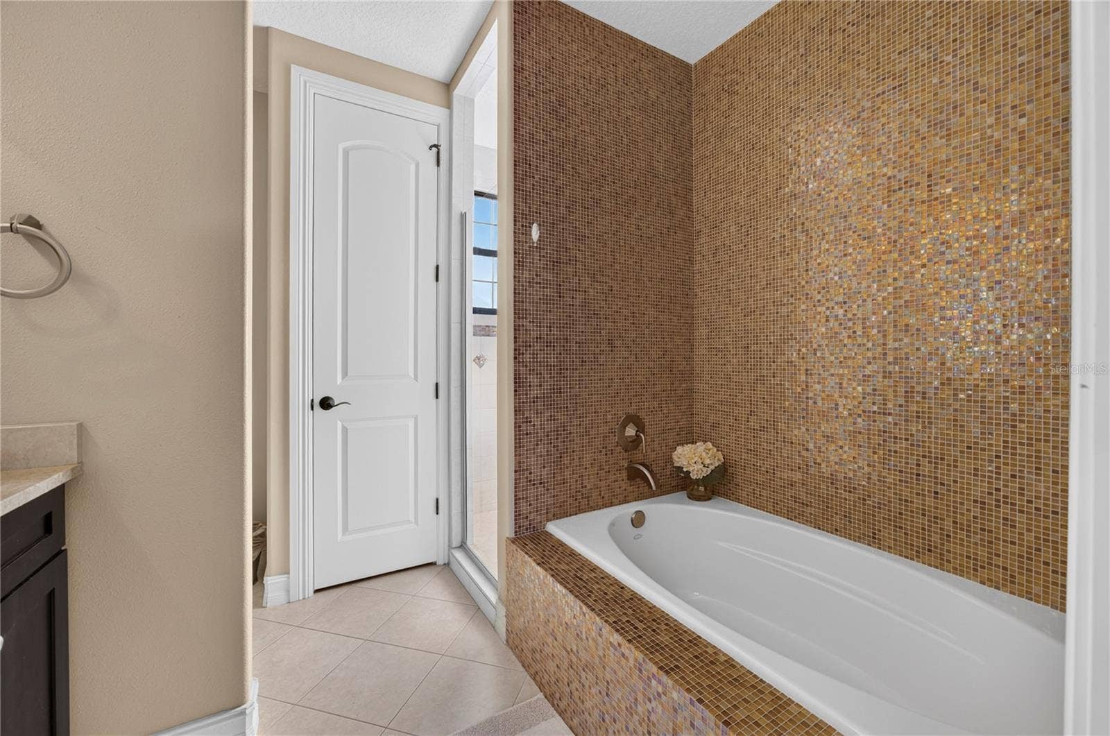 865 DESERT MOUNTAIN COURT, Reunion, FL 34747