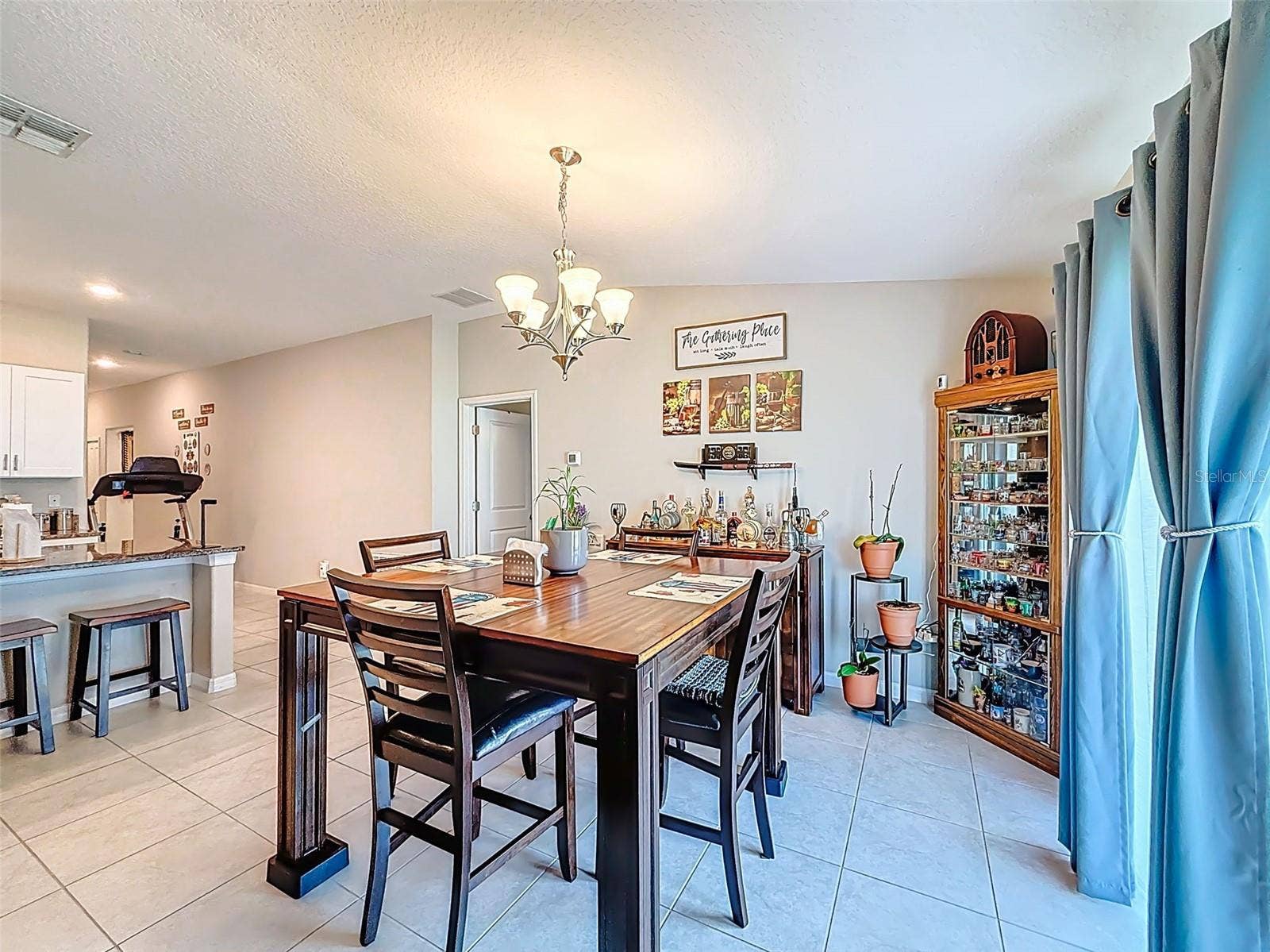 13360 WILLOW BLUESTAR LOOP, Riverview, FL 33579 13360 WILLOW BLUESTAR LOOP, Riverview, FL 33579