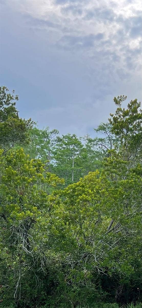 Property photo for MALAUKA LOOP, Ocklawaha, FL