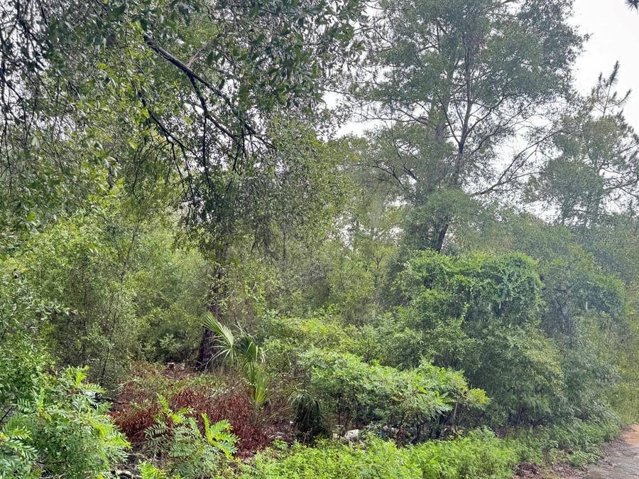 Property photo for 123xx NE 85TH STREET, Bronson, FL