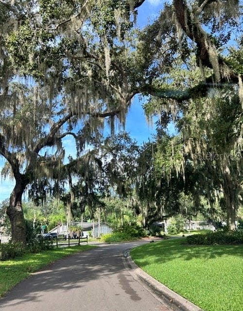 1592 SKYLINE DRIVE, Kissimmee, FL 34744 Mature Oak tree canopy in the neighborhood