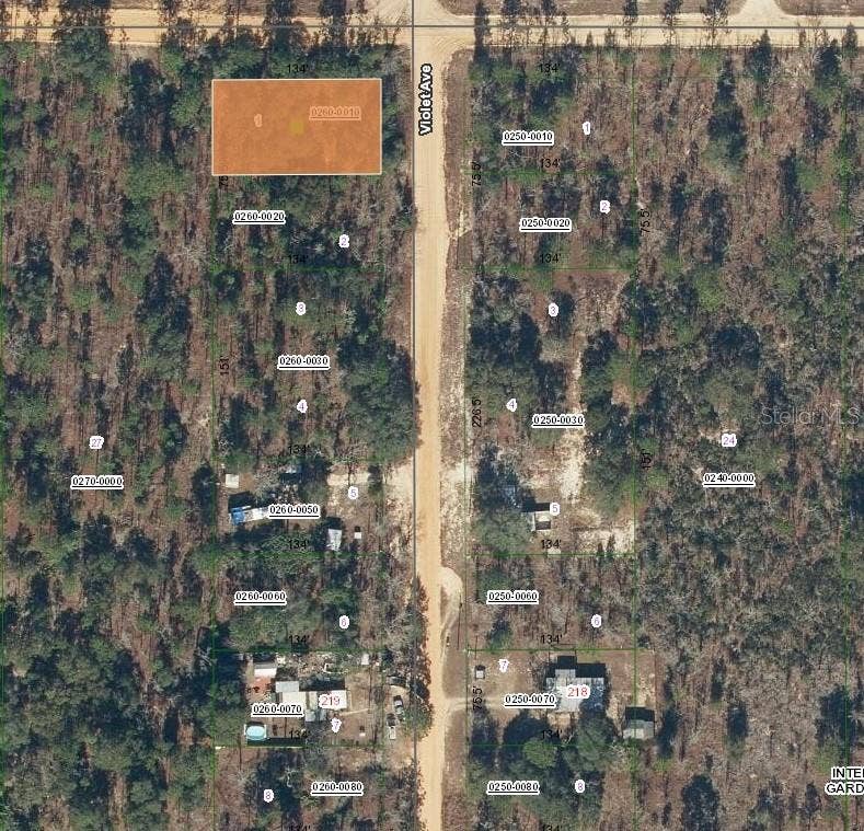 Property photo for 231 VIOLET AVE, Interlachen, FL