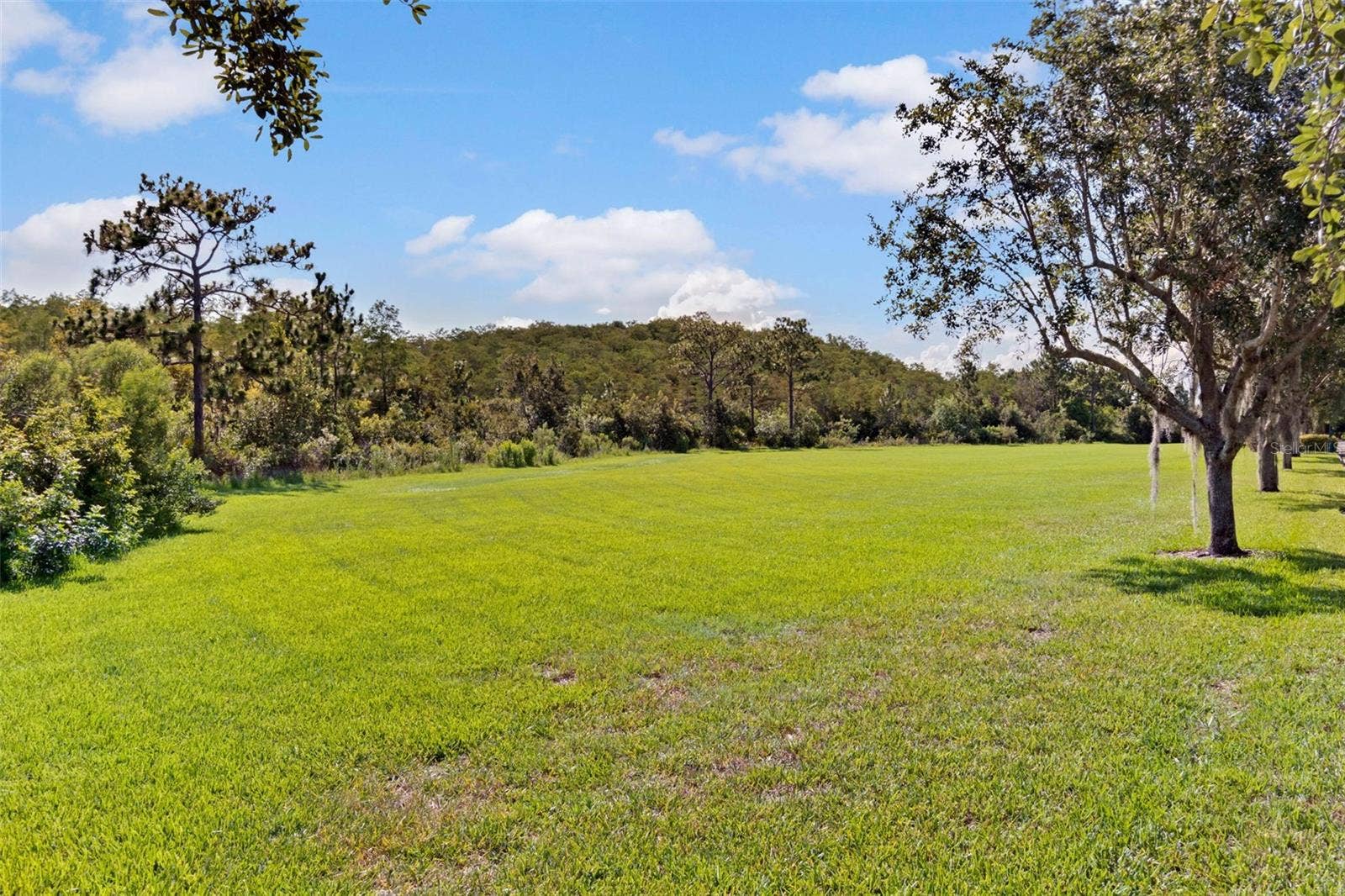 12004 KAJETAN LANE, Orlando, FL 32827 12004 KAJETAN LANE, Orlando, FL 32827