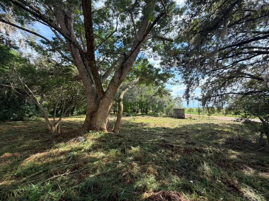 Property photo for 8156 DOGYARD ROAD, Lake Wales, FL