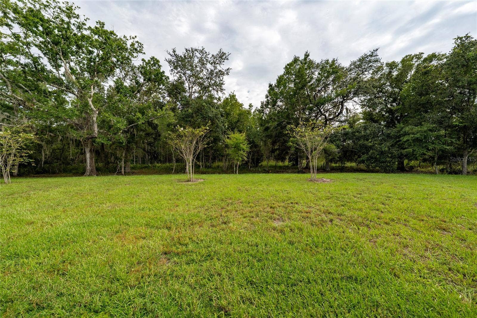4385 TWISTED TWIG BEND, Kissimmee, FL 34746