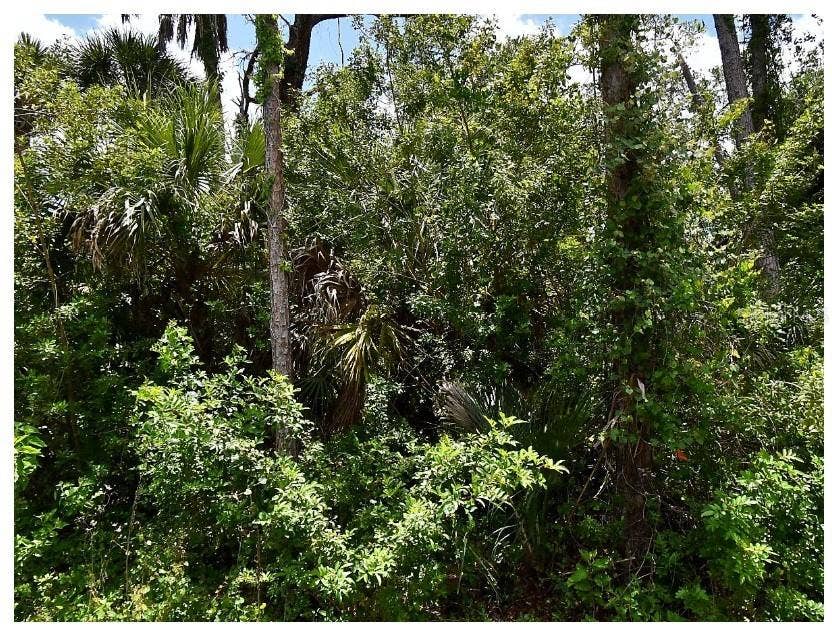 Property photo for NUMERA AVENUE, North Port, FL