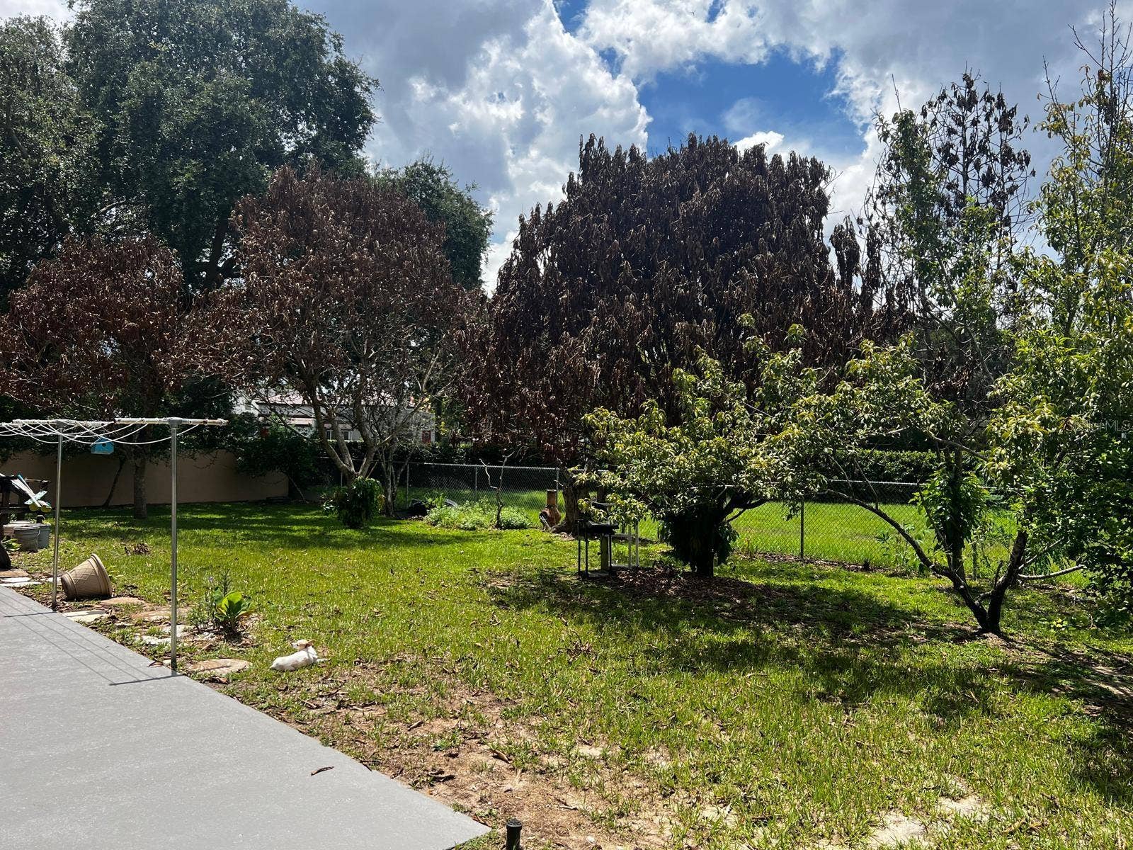 7804 SNOWBERRY CIRCLE, Orlando, FL 32819 7804 SNOWBERRY CIRCLE, Orlando, FL 32819