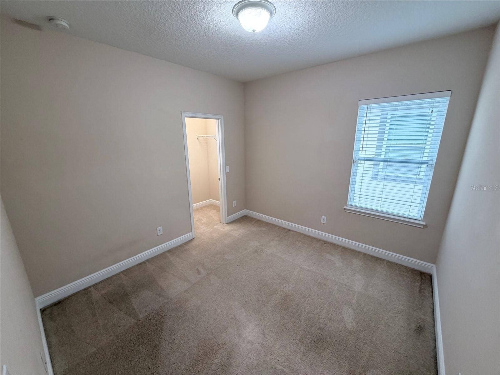 14142 WALCOTT AVENUE, Orlando, FL 32827 14142 WALCOTT AVENUE, Orlando, FL 32827