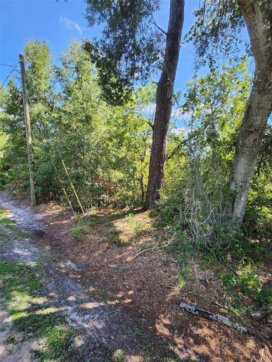 6TH AVENUE, Deland, FL 32724