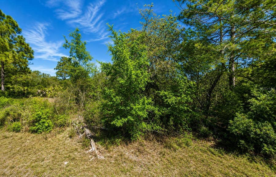 Property photo for 104 TOBLER TERRACE NW, Lake Placid, FL