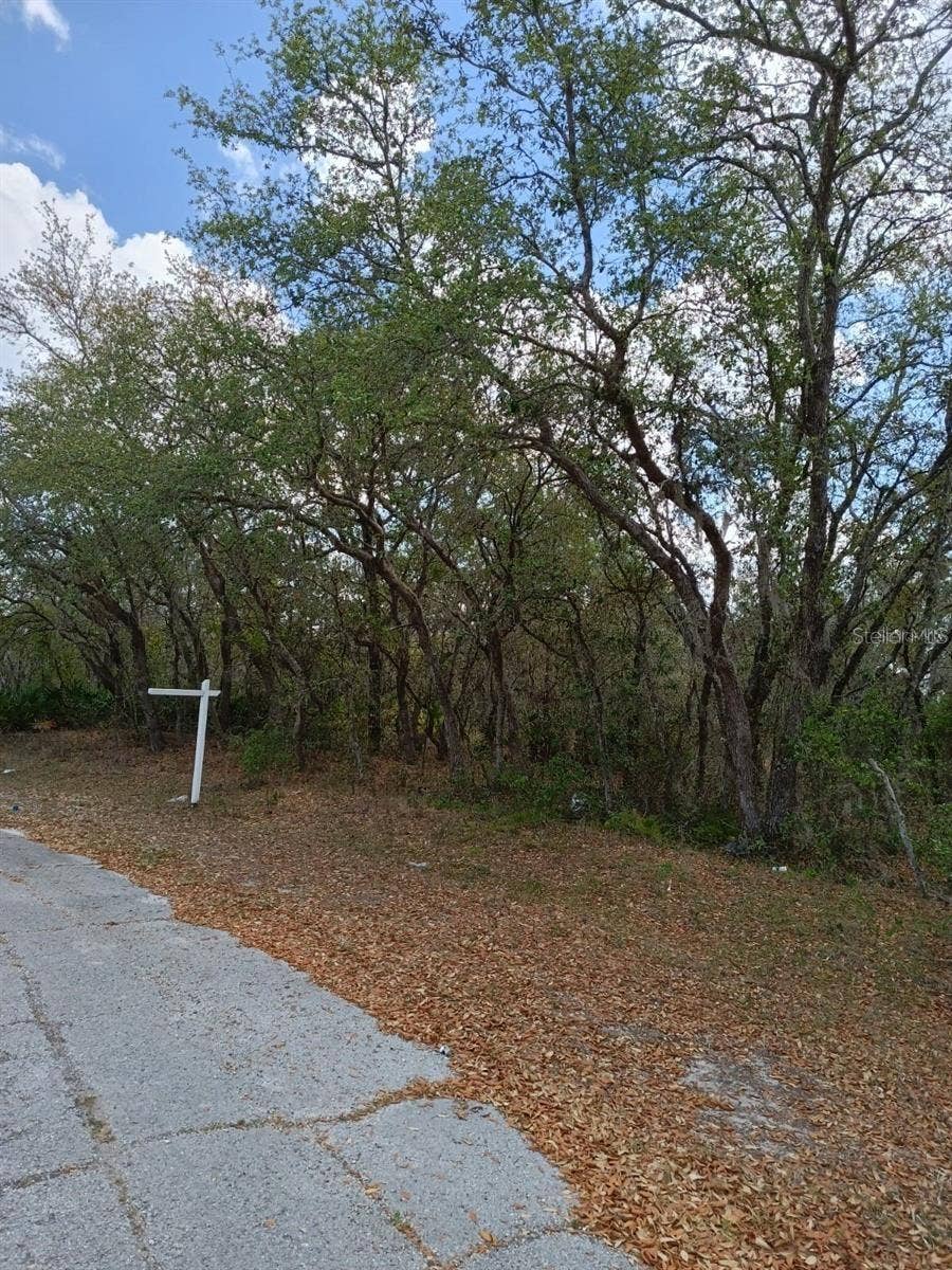 Property photo for 429 NAPLES COURT, Kissimmee, FL