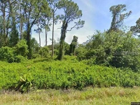 Property photo for 432 BRANBURY AVENUE, Lake Placid, FL