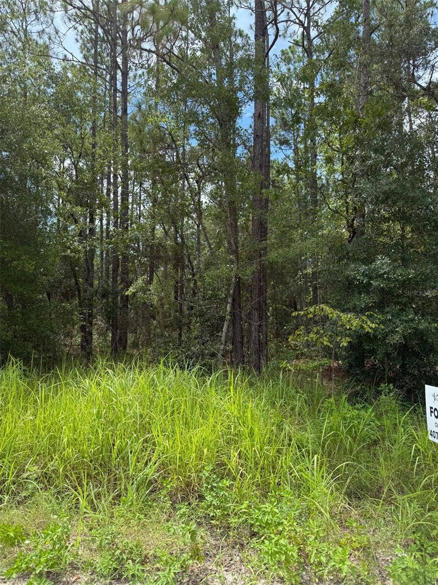 Property photo for 4500 SW 175 COURT, Dunnellon, FL