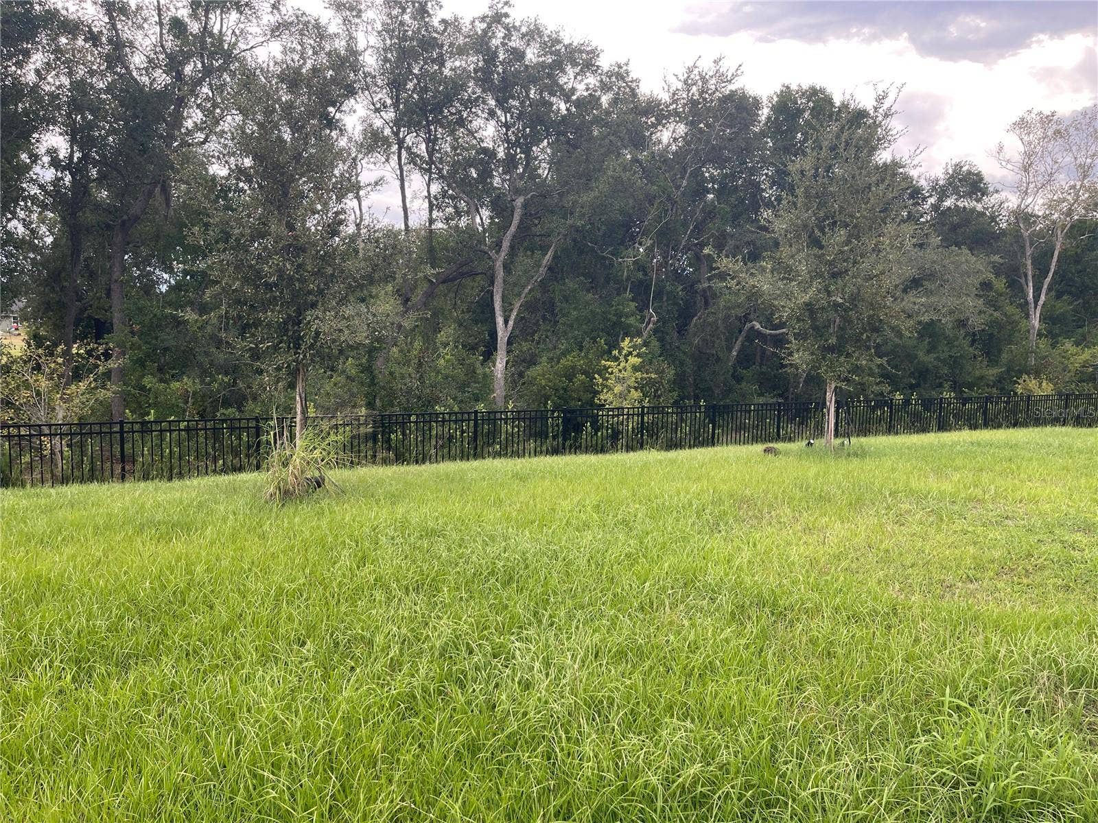 2994 GAVIN SKY DRIVE, Kissimmee, FL 34744 Back Yard