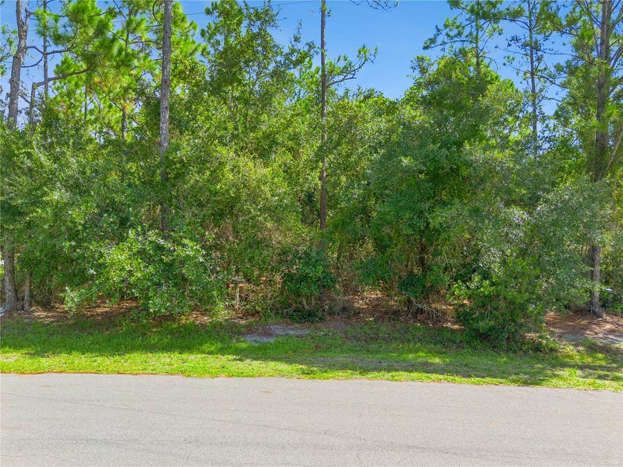 Property photo for MUSTANG, St Cloud, FL