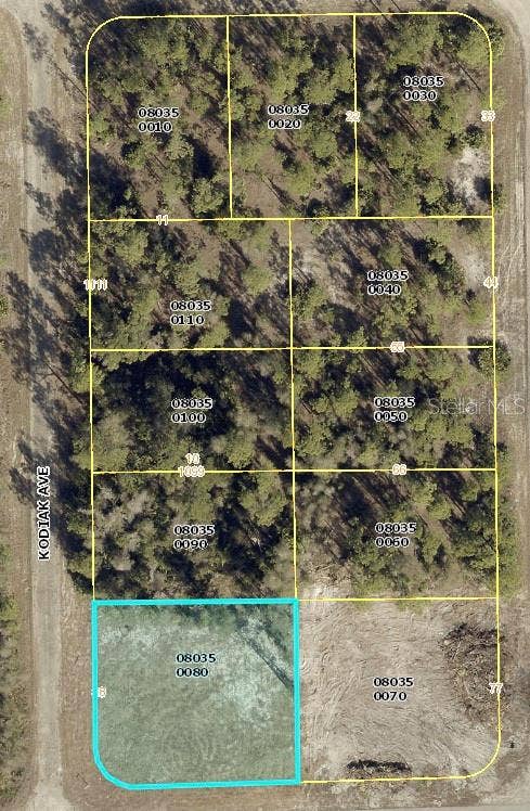 Property photo for 1015 KODIAK AVENUE, Lehigh Acres, FL
