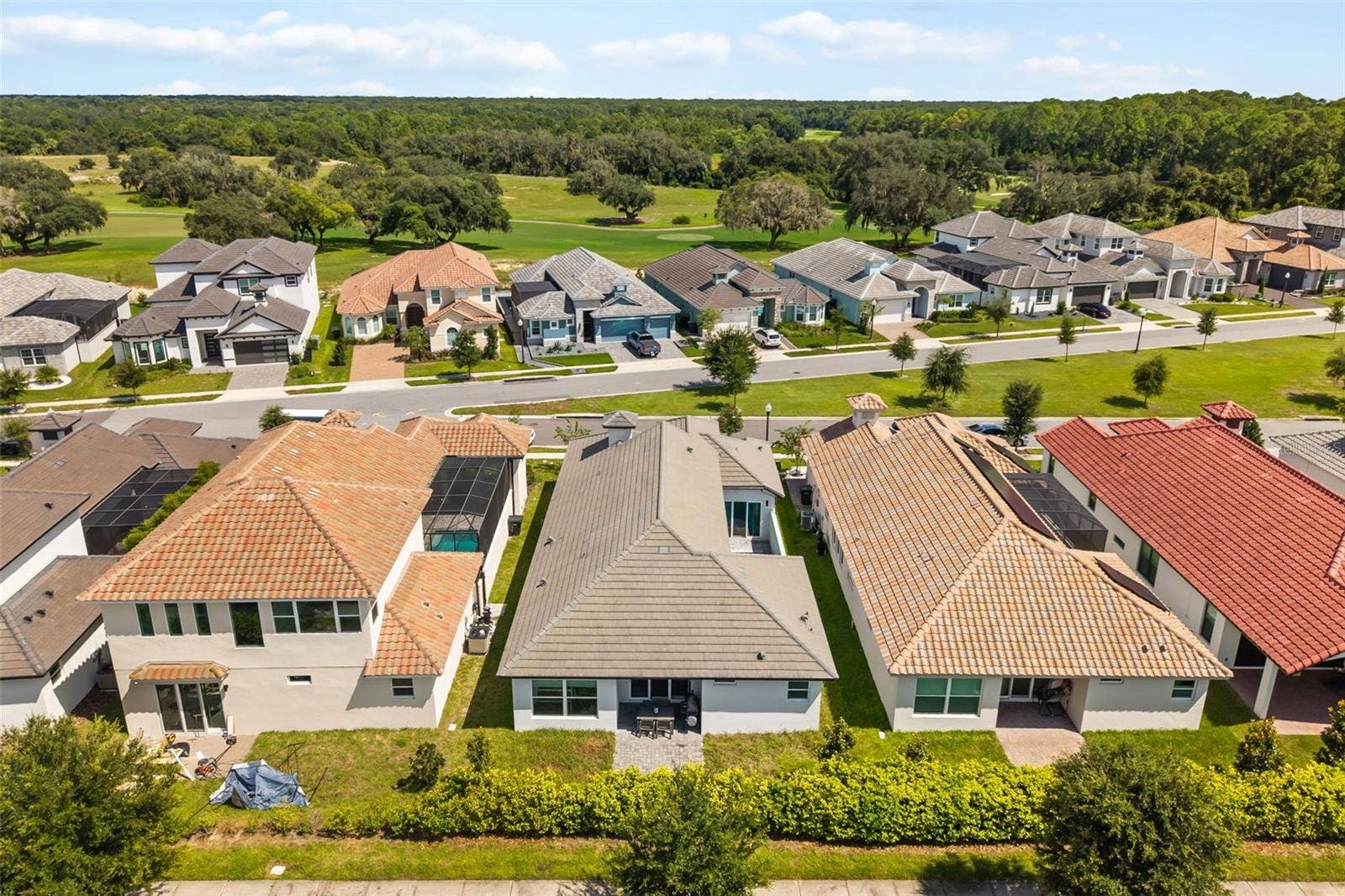 260 HAMPTON LOOP, Davenport, FL 33837 Drone back