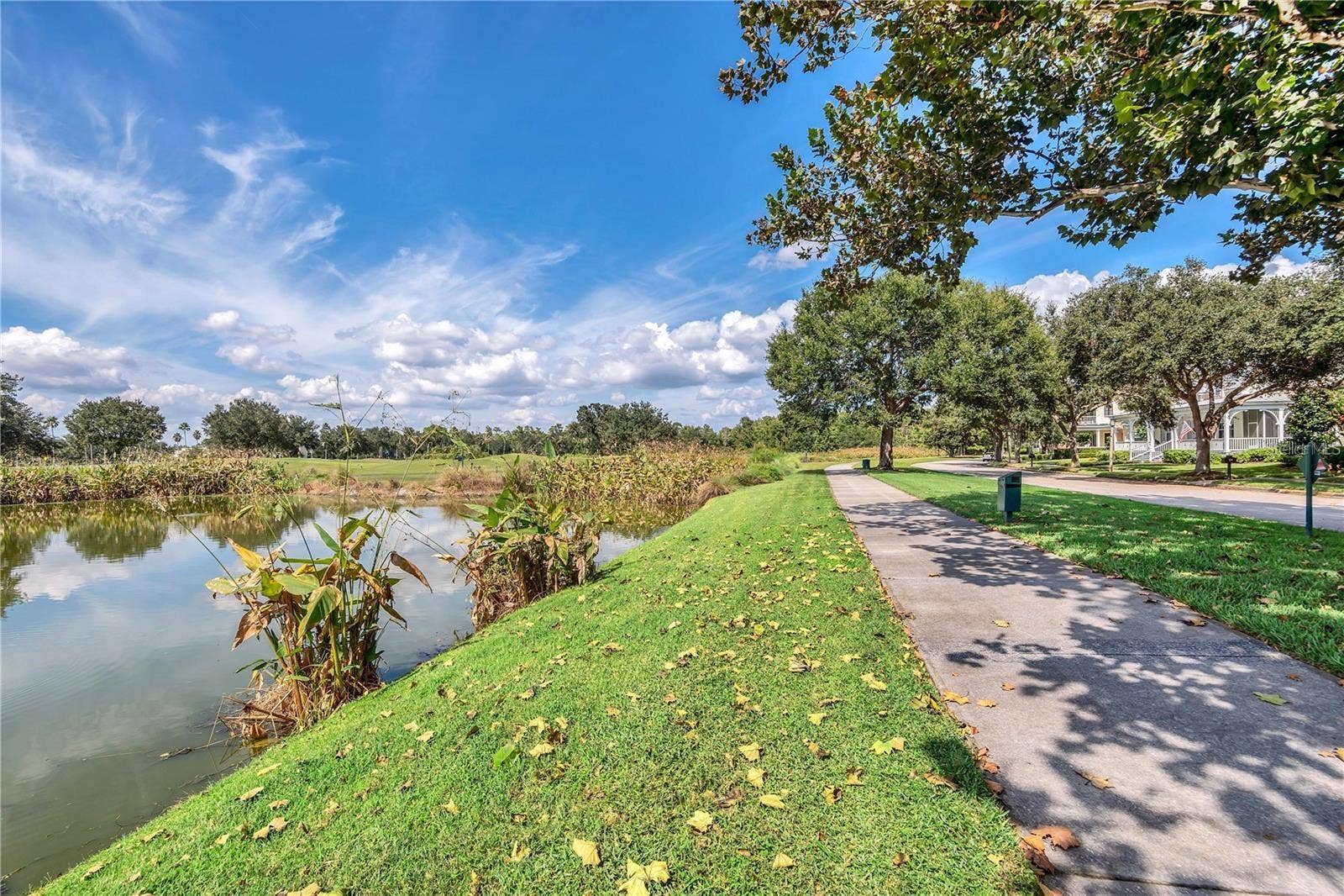 323 CELEBRATION BOULEVARD, Celebration, FL 34747 323 CELEBRATION BOULEVARD, Celebration, FL 34747