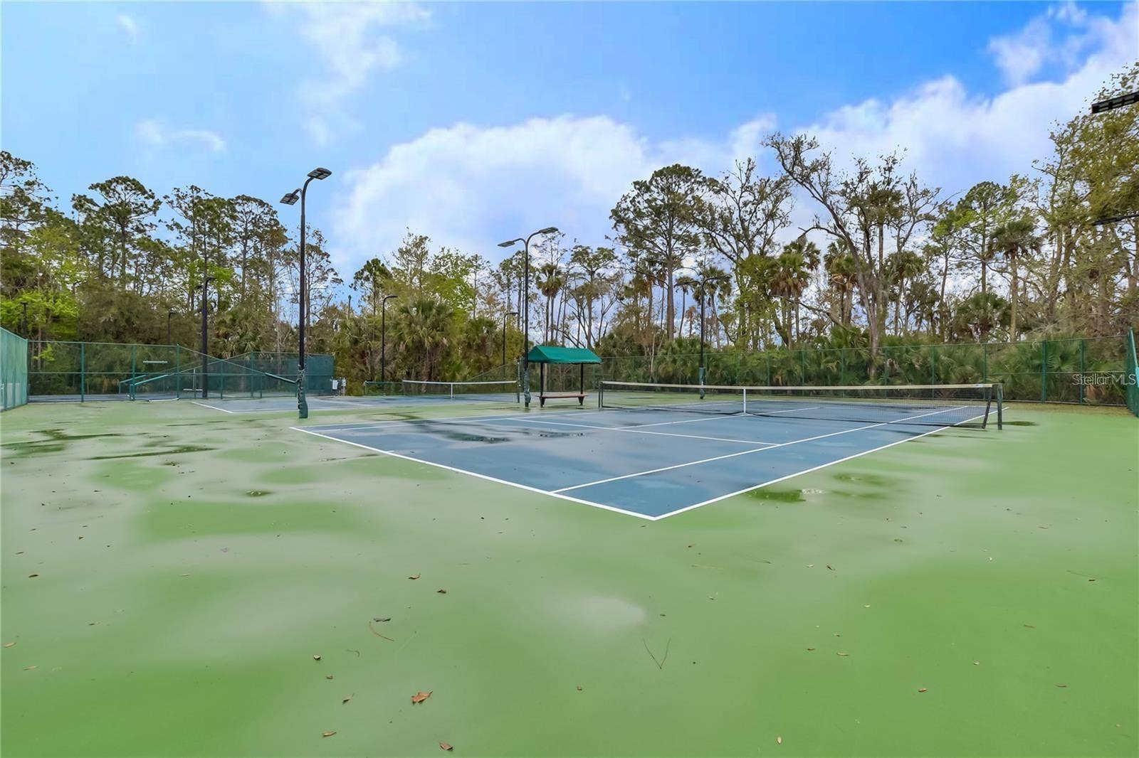 323 CELEBRATION BOULEVARD, Celebration, FL 34747 323 CELEBRATION BOULEVARD, Celebration, FL 34747