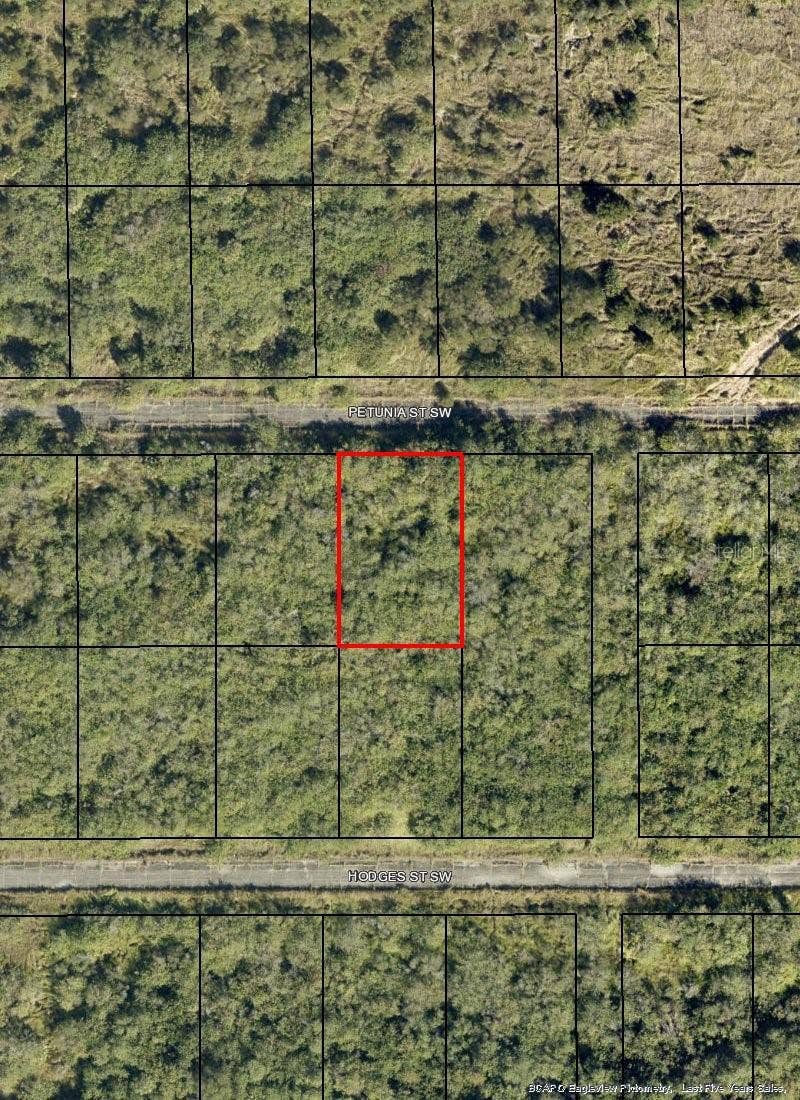 Property photo for 1574 PETUNIA STREET SW, Palm Bay, FL