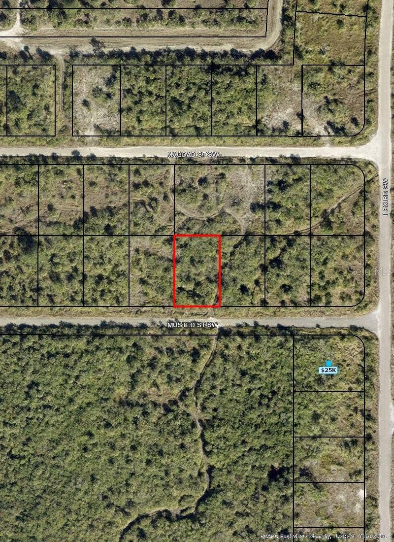 Property photo for 1319 MUSTED STREET SW, Palm Bay, FL