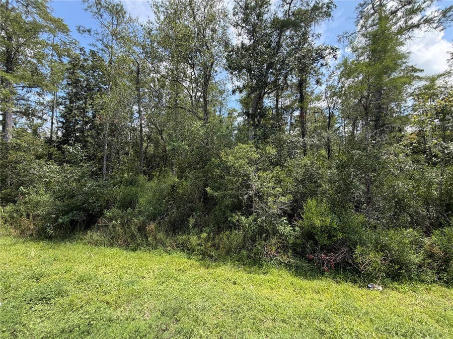 Property photo for STARRY STREET, Orlando, FL