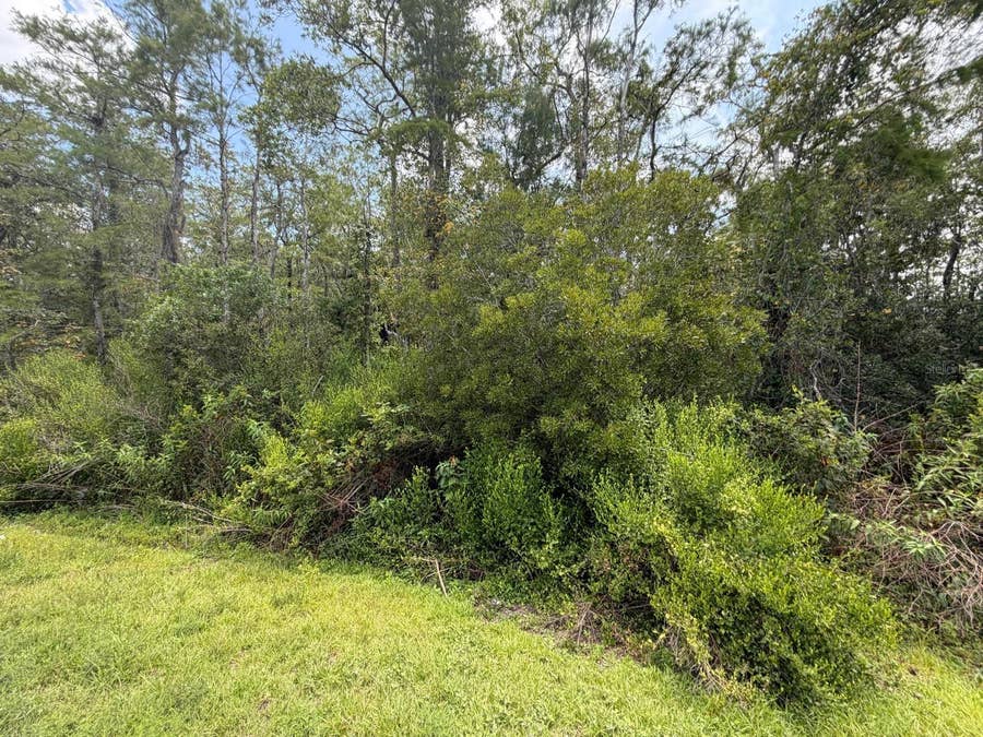 Property photo for TUNBRIDGE STREET, Orlando, FL