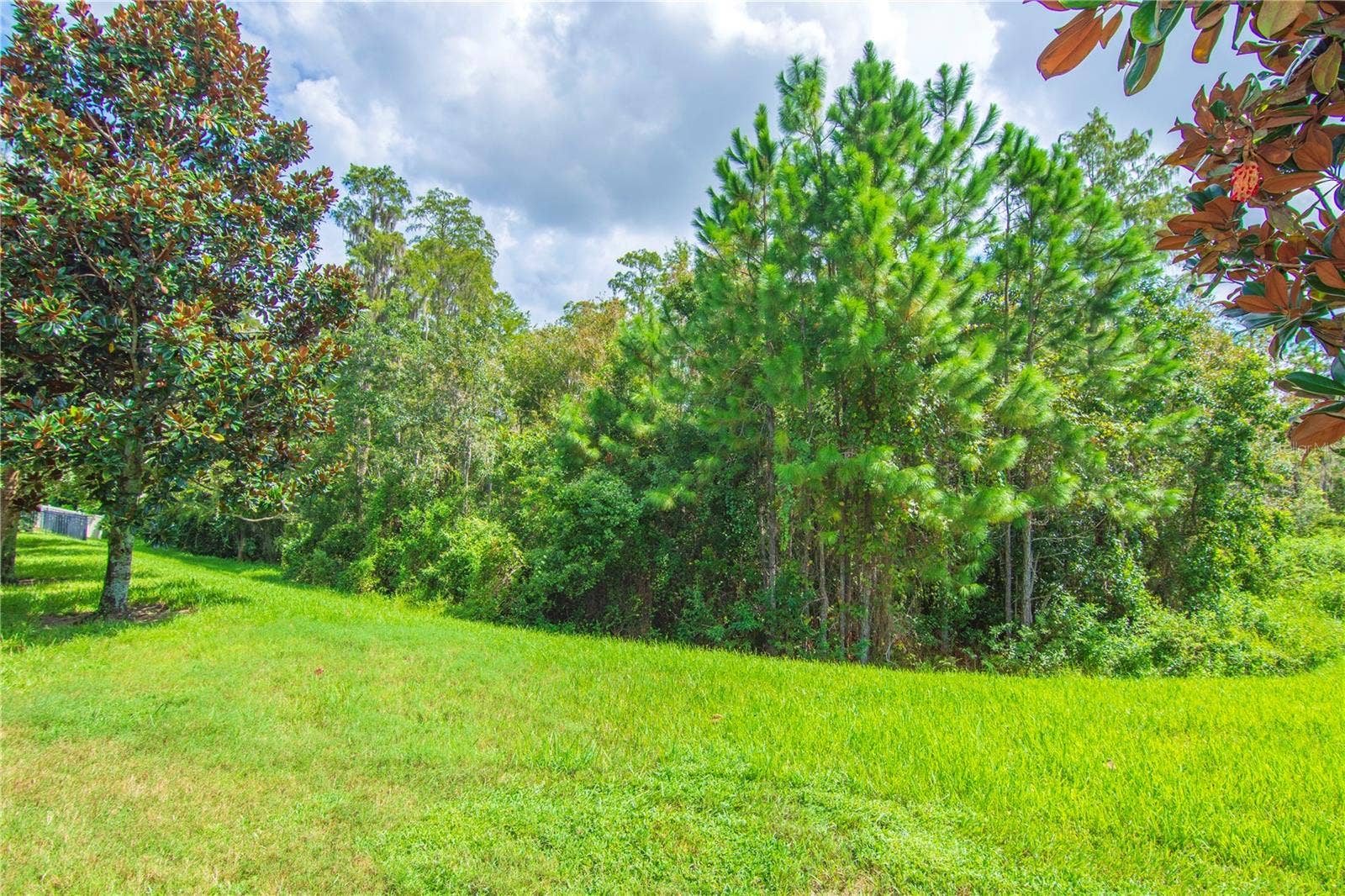 8091 BOWERY DRIVE, Winter Garden, FL 34787