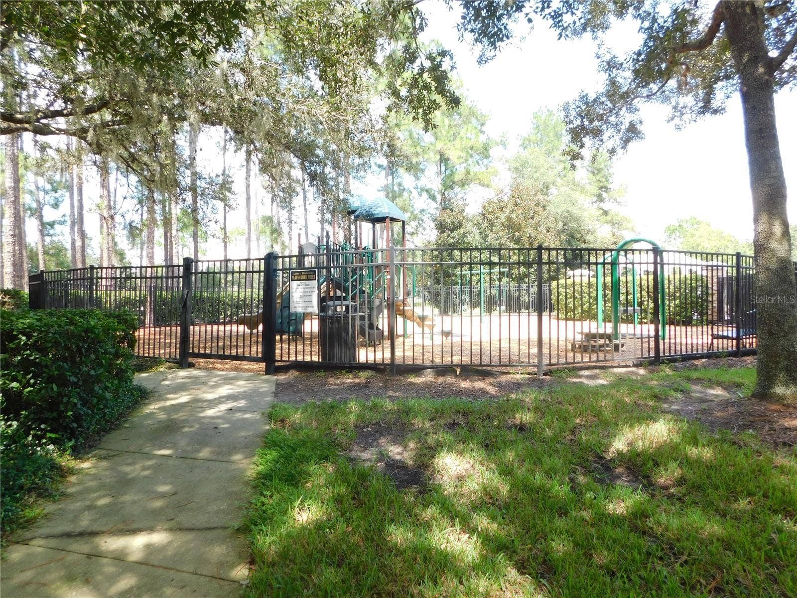 12809 HOLDENBURY LANE, Windermere, FL 34786 Playground