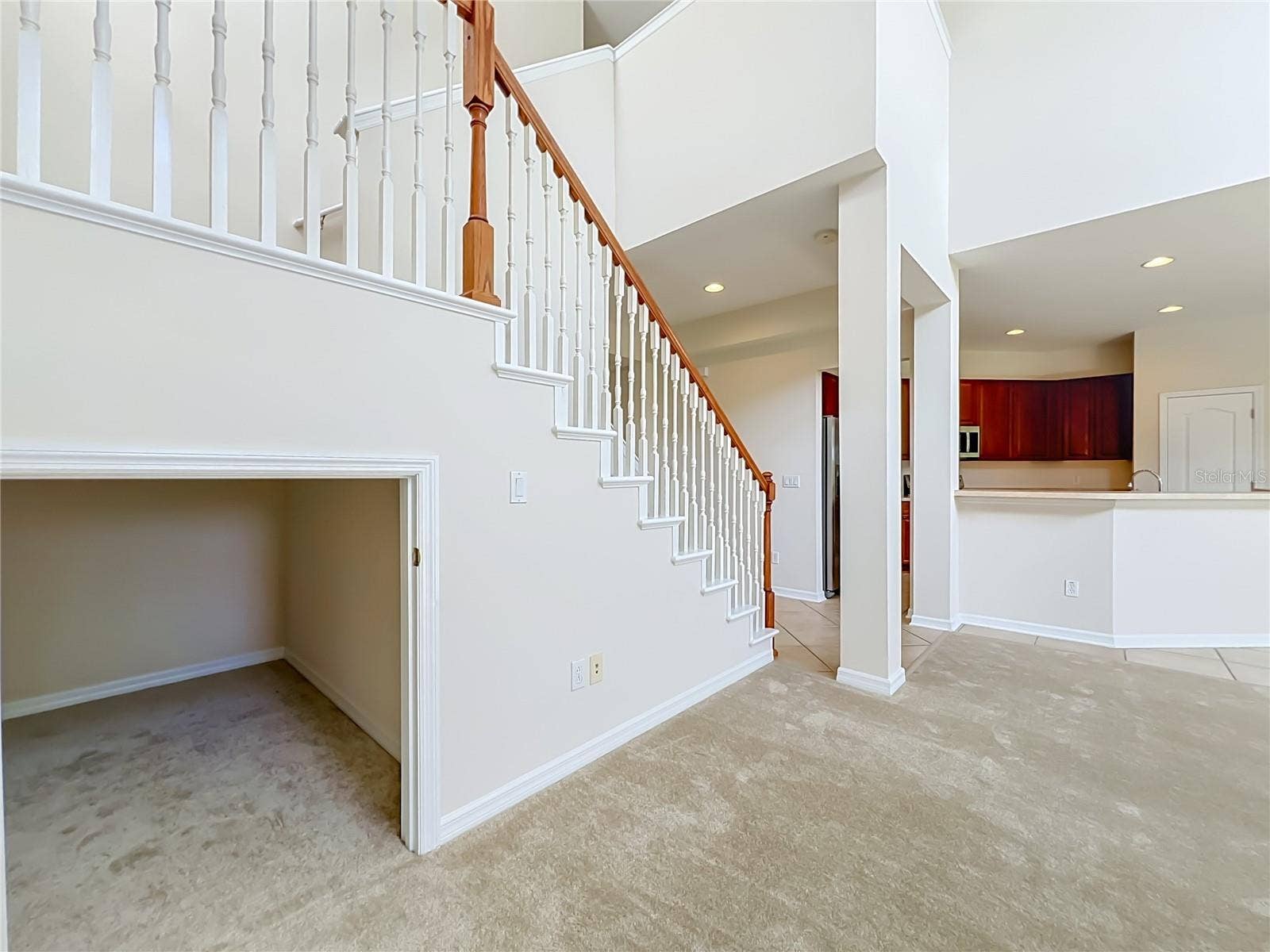 12809 HOLDENBURY LANE, Windermere, FL 34786 Under stair storage