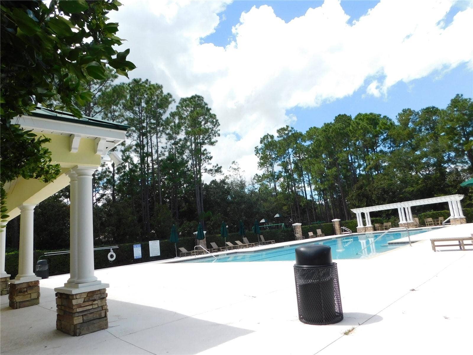 12809 HOLDENBURY LANE, Windermere, FL 34786 Community pool
