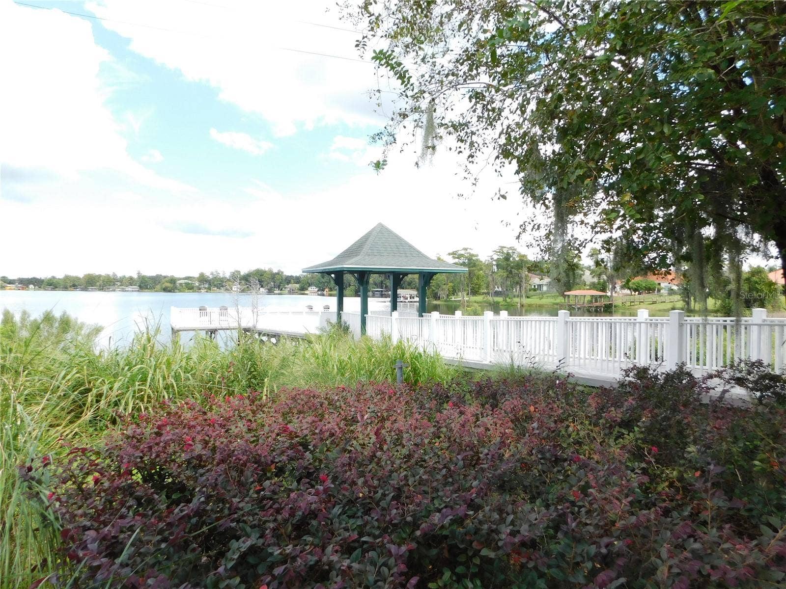 12809 HOLDENBURY LANE, Windermere, FL 34786 Fishing pier on a beautiful community lake with conservation